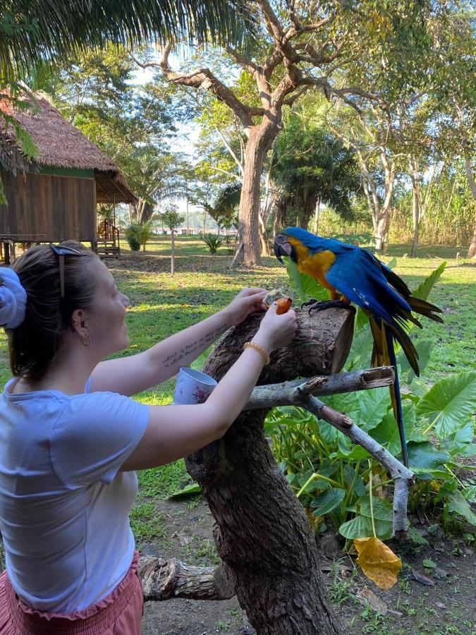 Green Diamond Amazon Lodge 马尔多纳多港 外观 照片