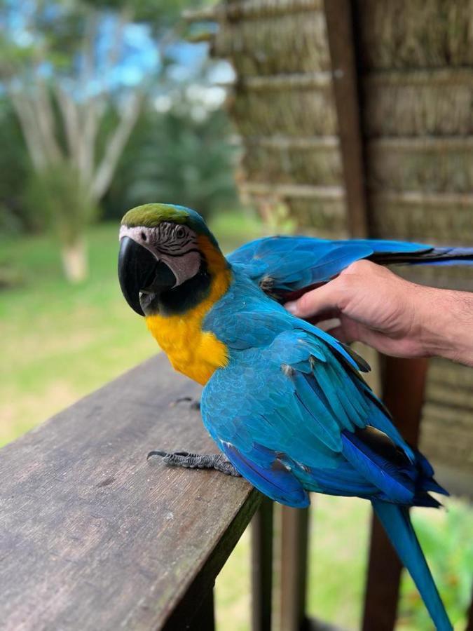 Green Diamond Amazon Lodge 马尔多纳多港 外观 照片