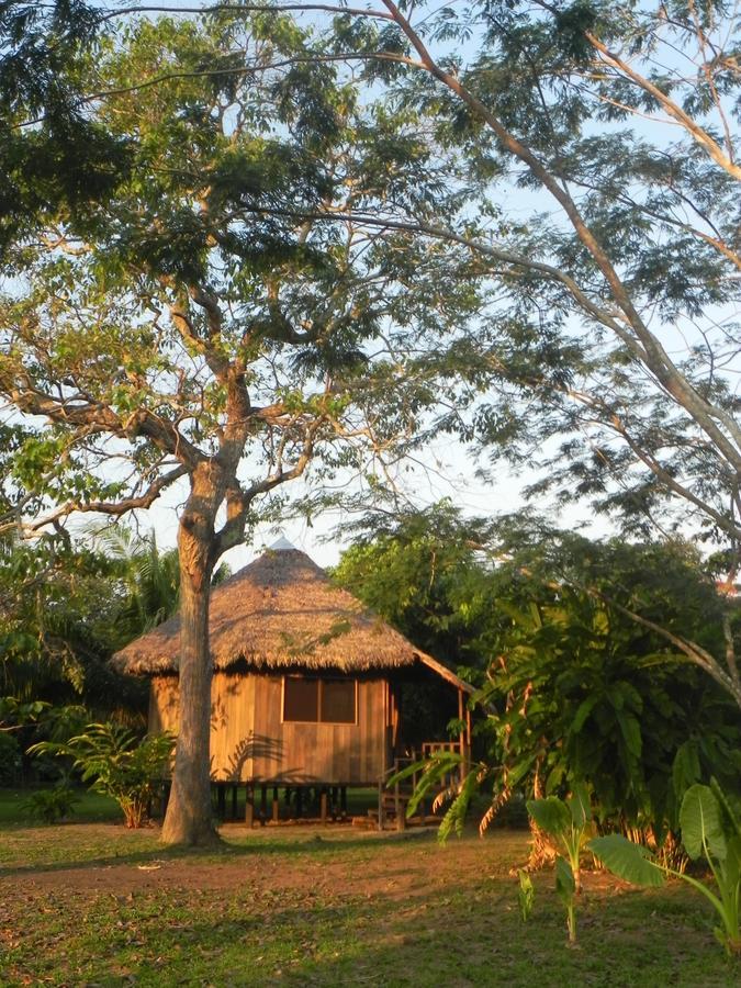 Green Diamond Amazon Lodge 马尔多纳多港 外观 照片