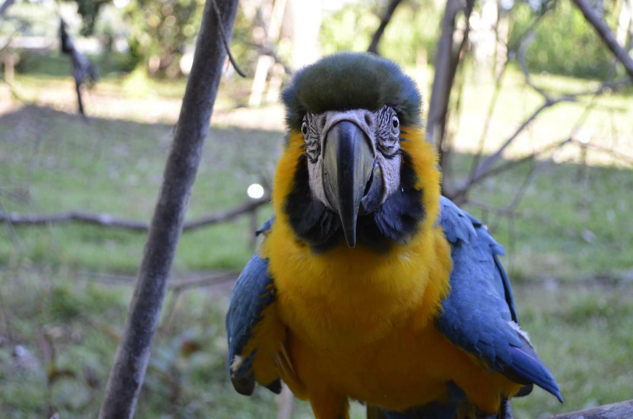 Green Diamond Amazon Lodge 马尔多纳多港 外观 照片